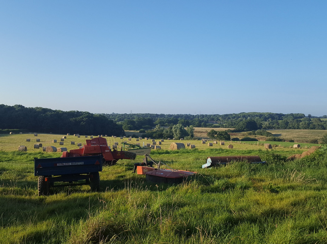 Farmhouse Caravan & Camping