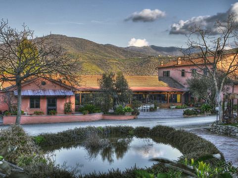 San Gregorio da Sassola餐馆和美食-Agriturismo San Clemente