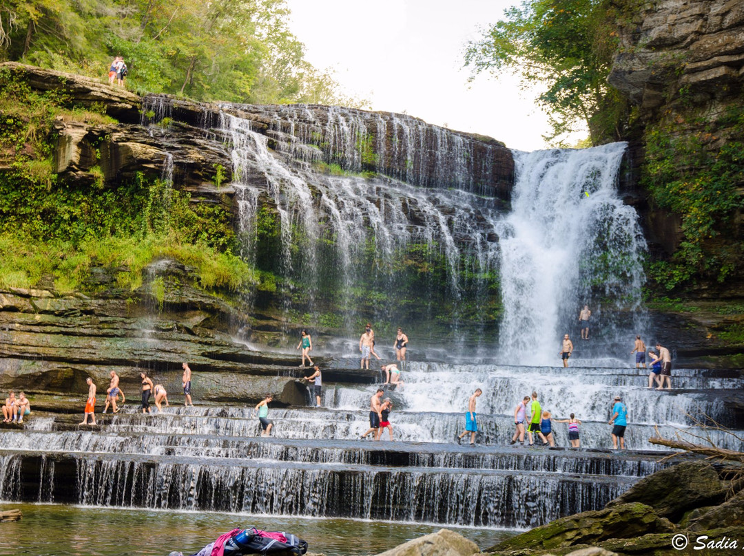 Cummins Falls State Park景点图片