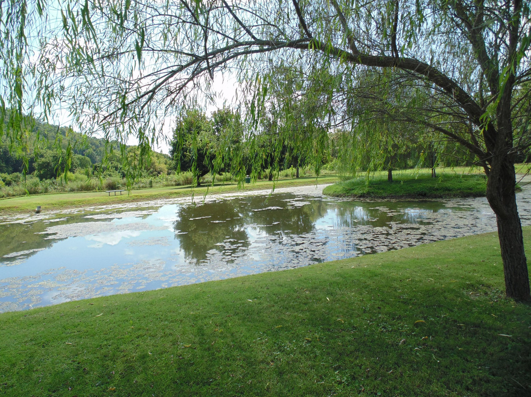 L.L. Burns Park景点图片