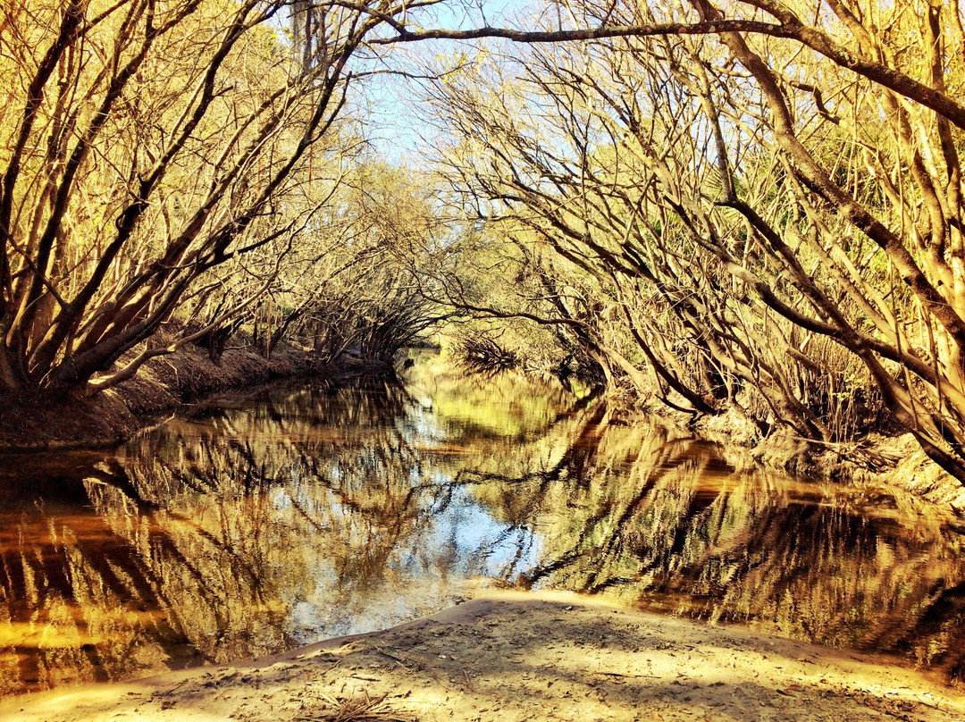 Wimauma旅游攻略图片