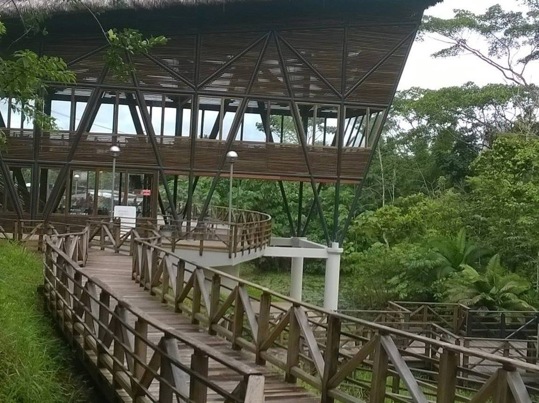 San Vicente de Puerto Rico旅游攻略图片