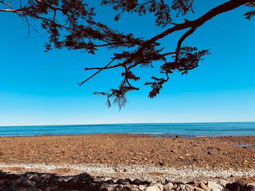 Halibut Bight Rest Area