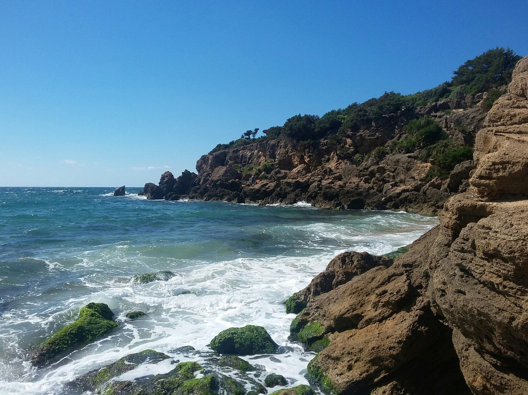 El Tarf Province旅游攻略图片