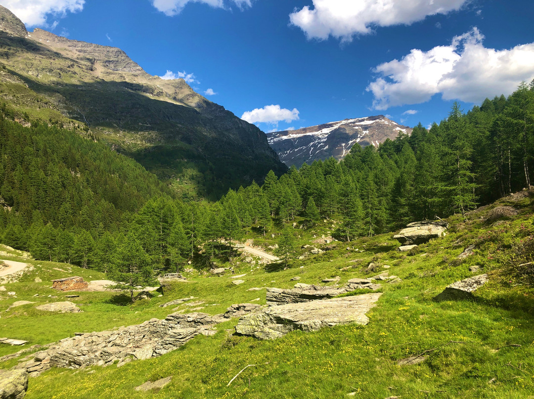 Alpe Di Pozzo (1886 M)景点图片