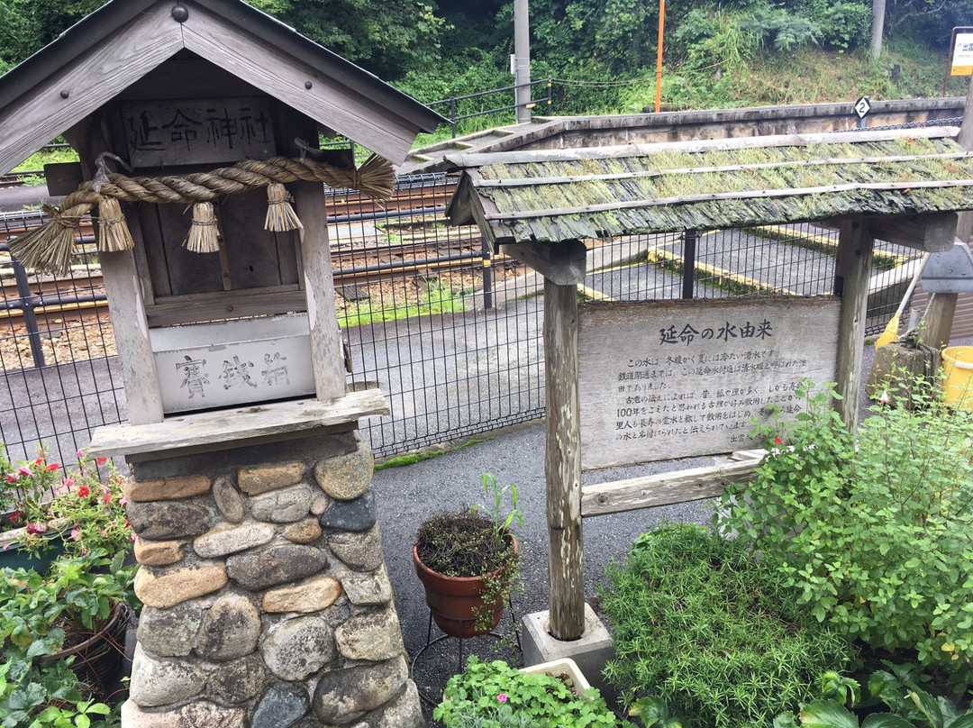 Life Extention Spring-奥出云町必去景点