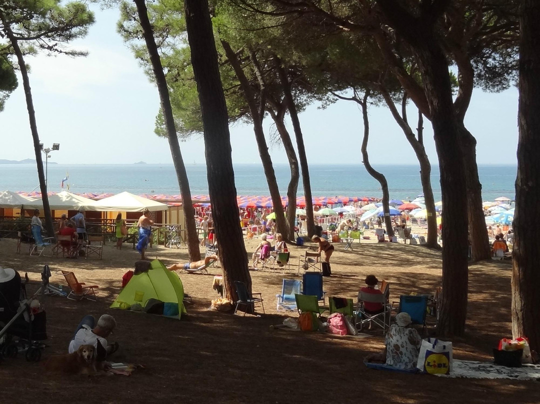 Riserva Naturale Tomboli di Follonica景点图片
