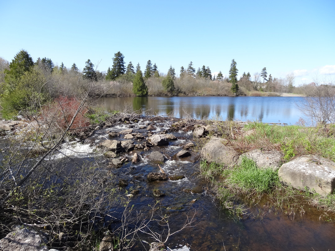 Little River Reservoir Park景点图片