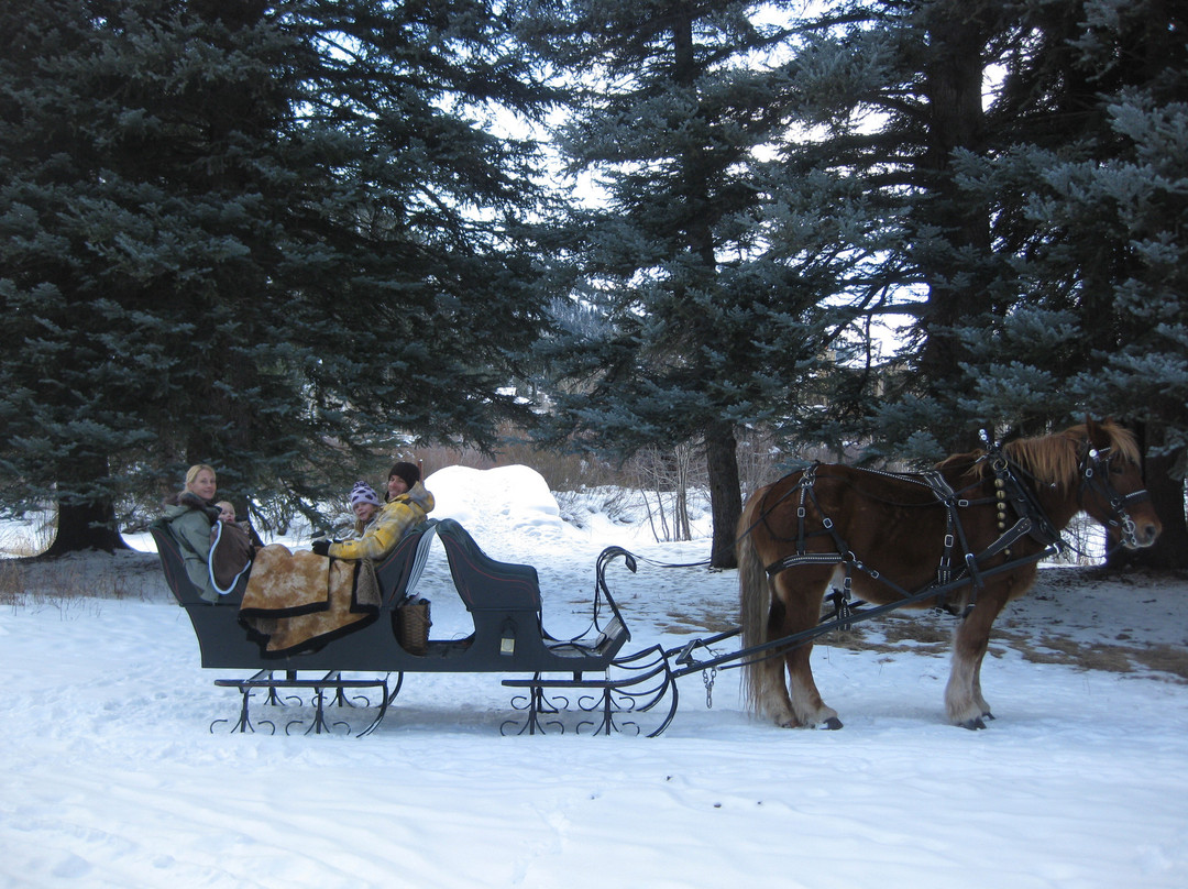 Aspen Carriage and Sleigh Day Tours景点图片