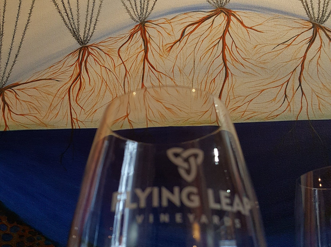 Flying Leap Vineyards Tasting Room & Fine Arts Gallery景点图片