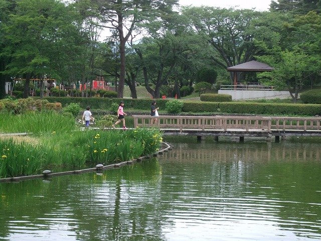 Karasugamori park景点图片