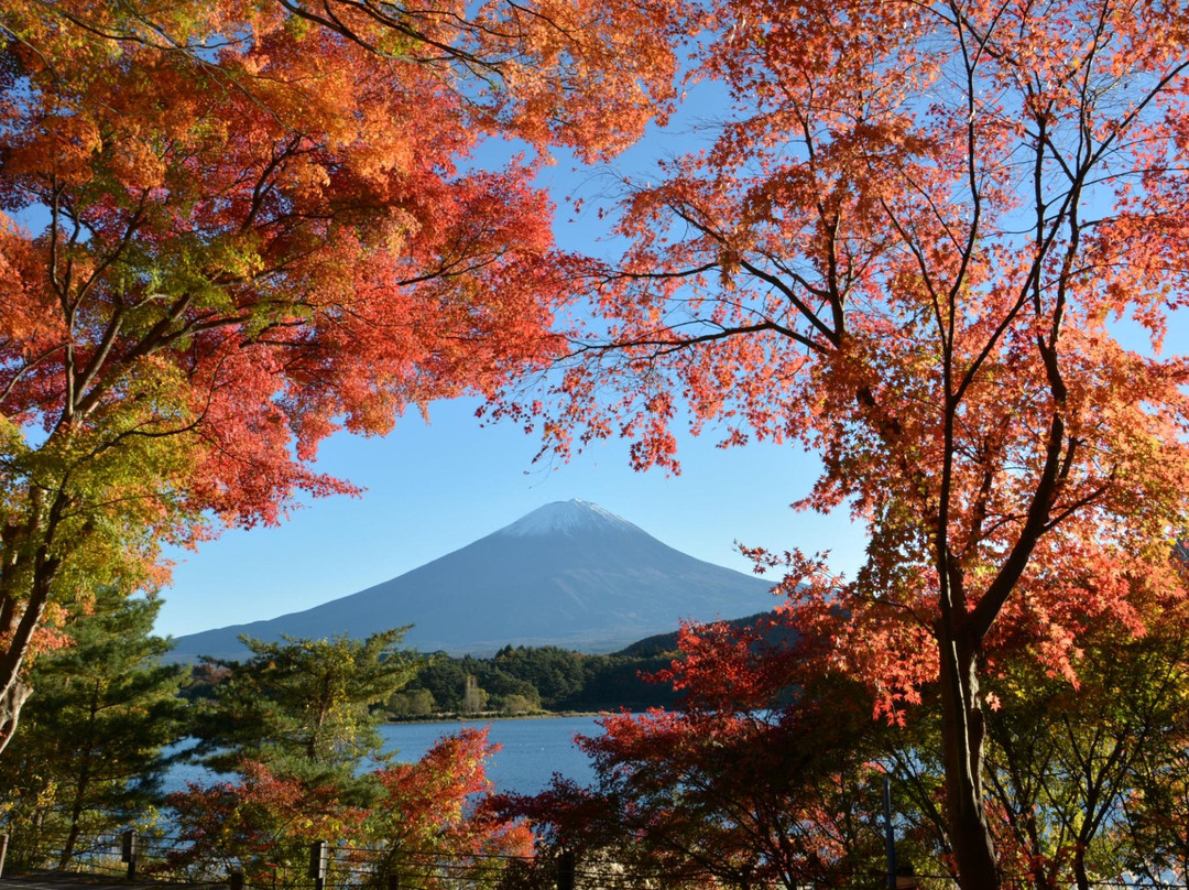 Fuji Lake Kawaguchi Koyo Festival景点图片