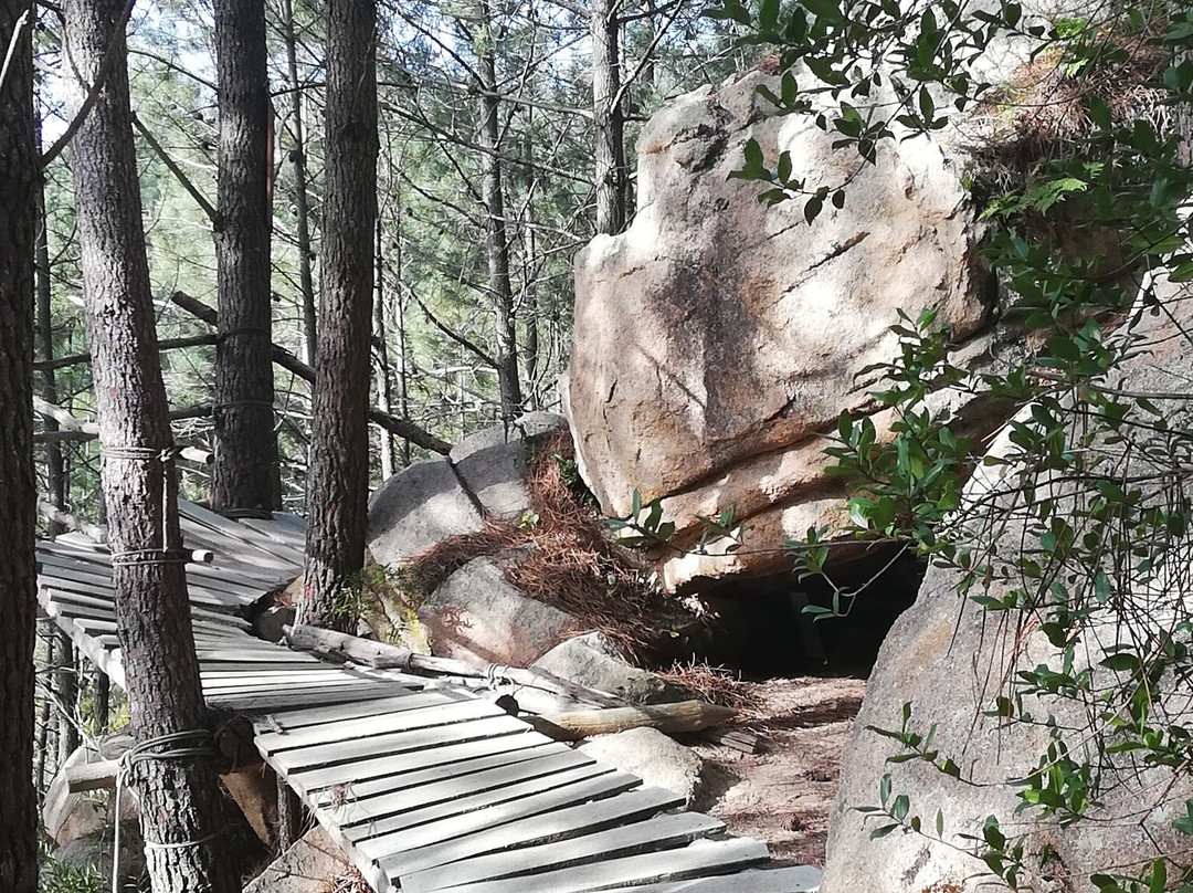 Sintra Hikes景点图片