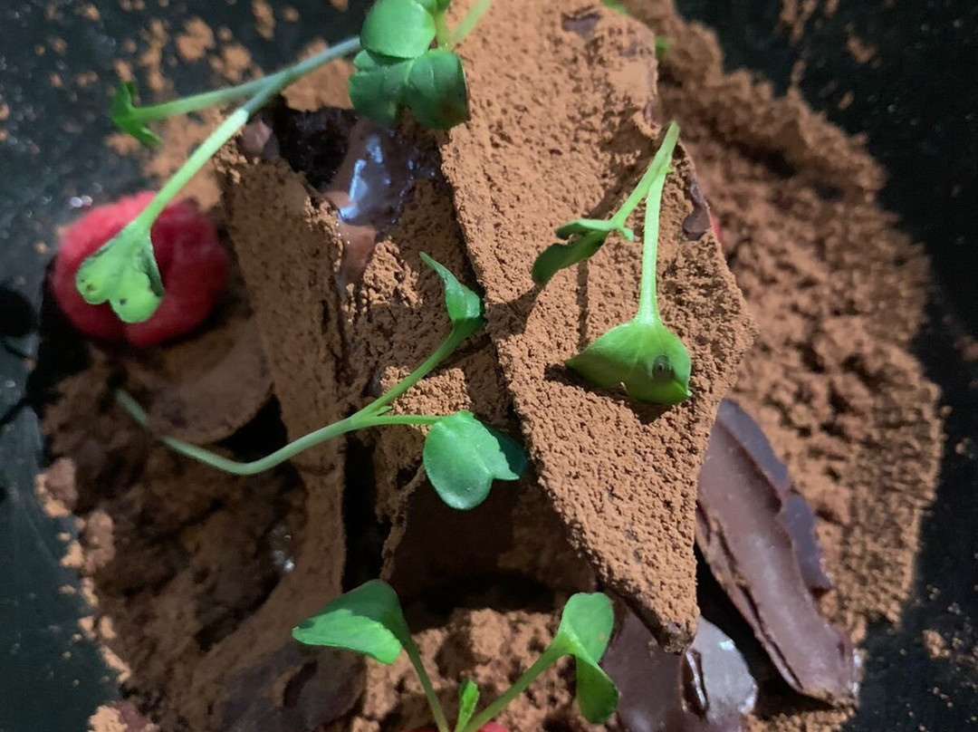 Robinson Australian - Japanese Restaurant & Dry Bar