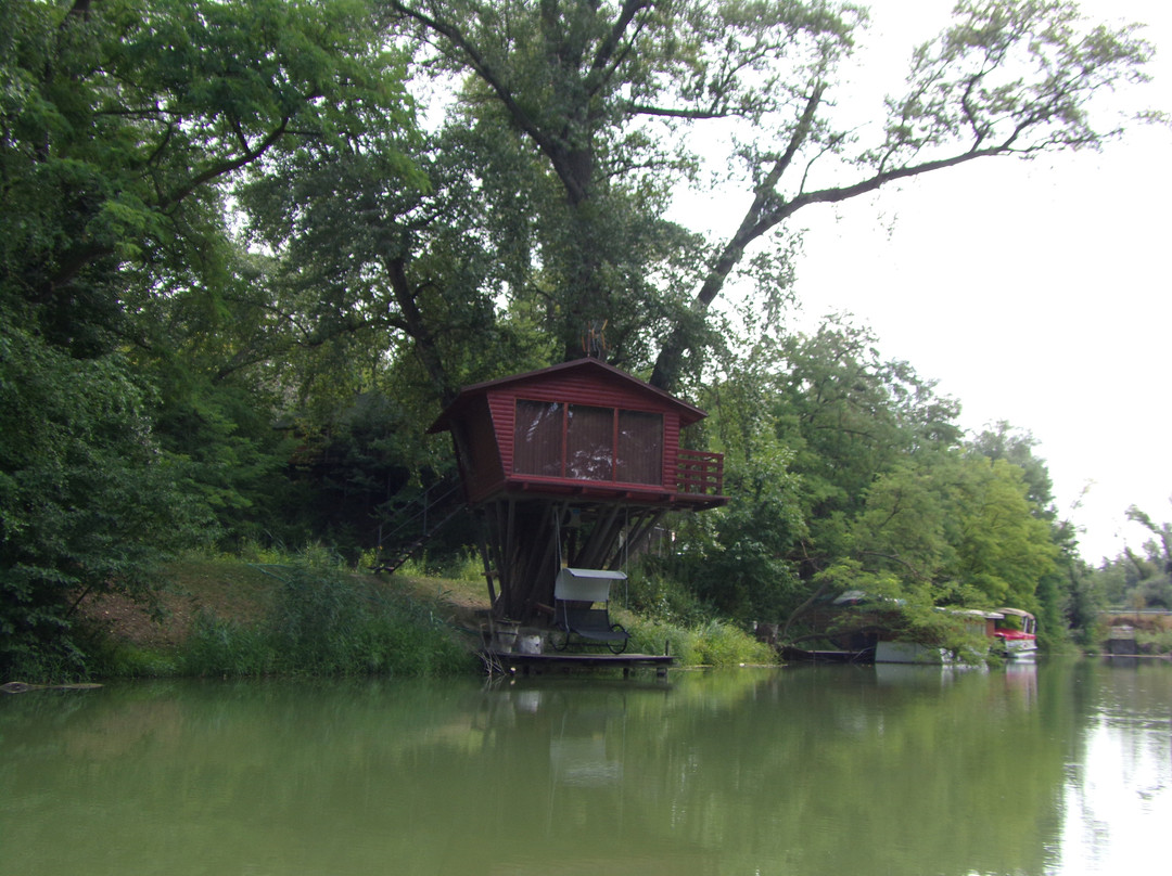 Aranykárász Camping