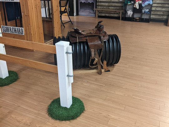 Stay N Play Children's Museum