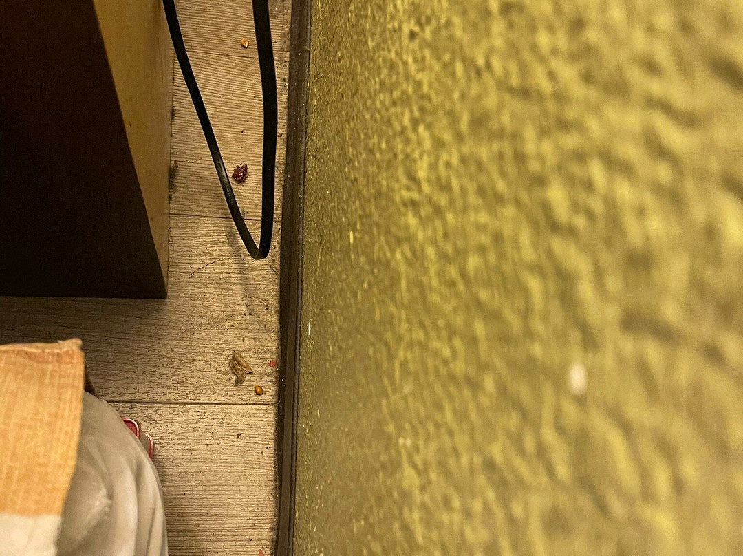 Super 8 by Wyndham Sarasota Near Siesta Key主图