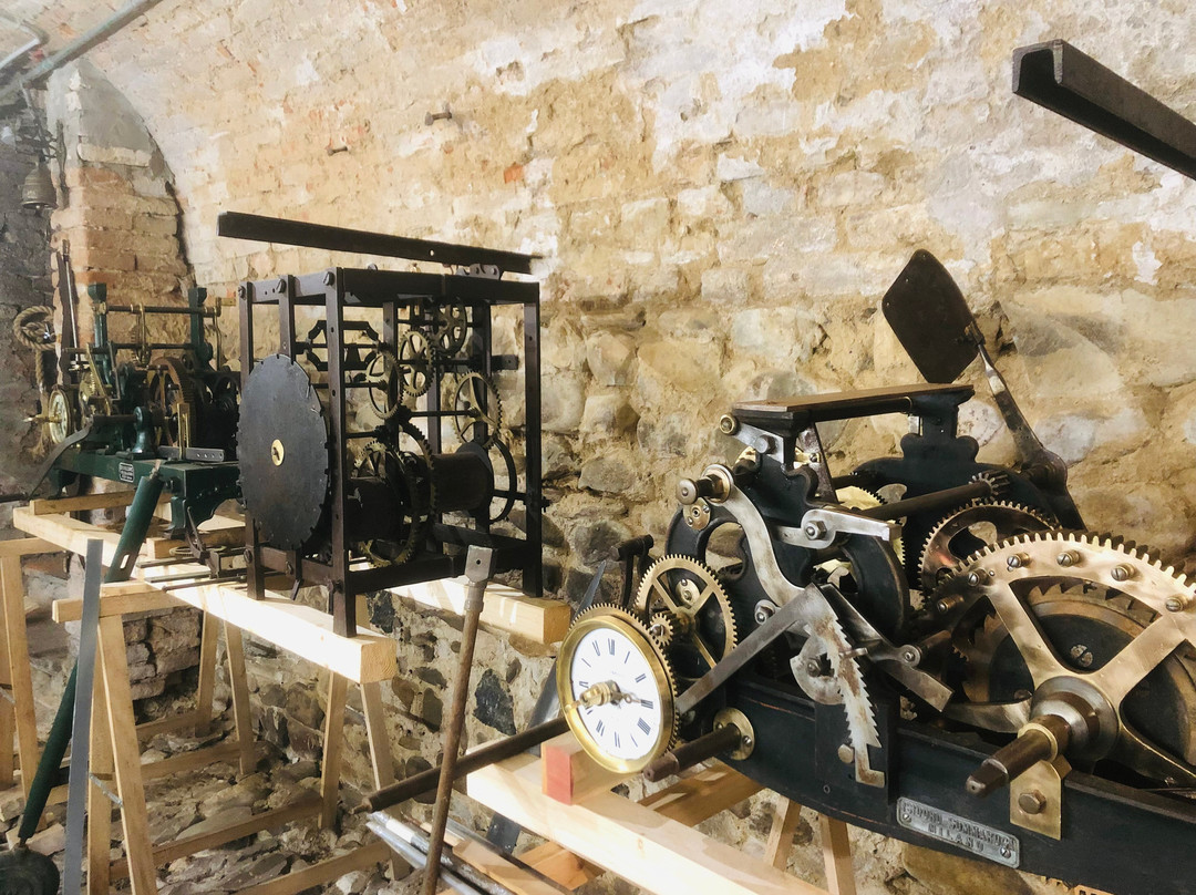 Mut Museo Uomo Tempo Medesano景点图片
