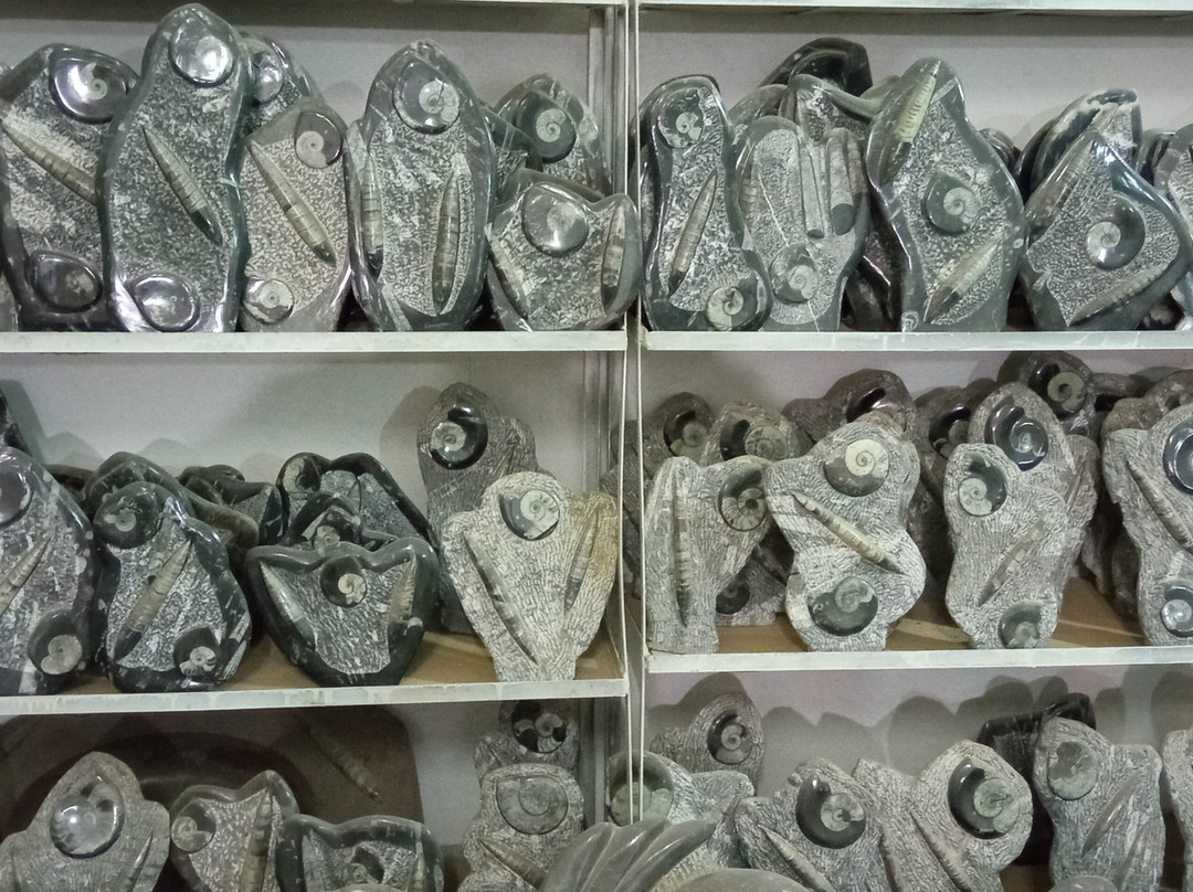 Mezane Fossil Store-Rissani必去景点