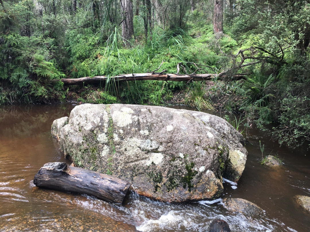 Kurth Kiln Regional Park-Gembrook必去景点