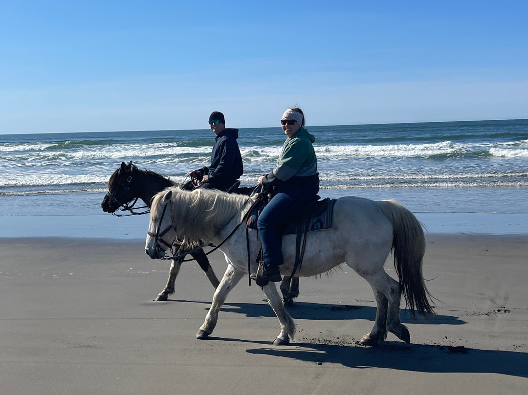 West Coast Horse Rides-长滩必去景点