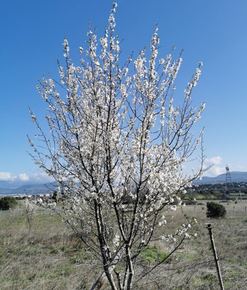 Ermita del Cerrillo-Galapagar必去景点