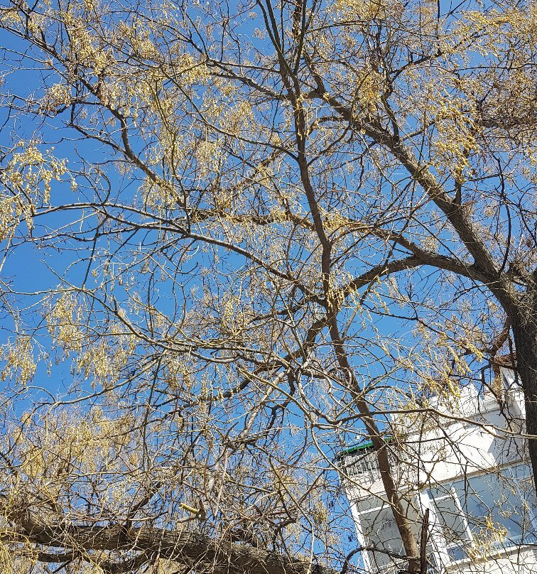 Segmenler Parkı-安卡拉必去景点