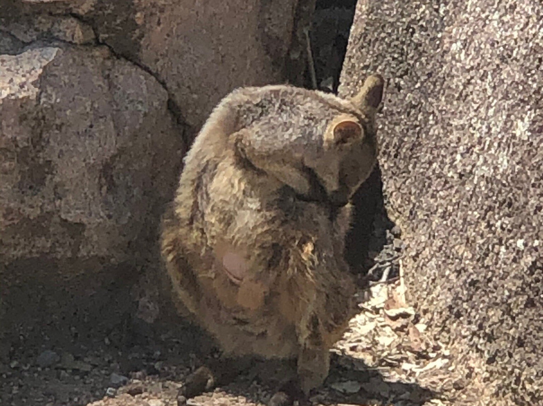 Magnetic Island National Park-Magnetic Island必去景点
