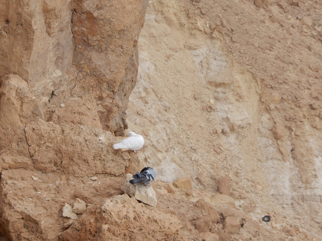 HaMakhtesh HaGadol-Yeruham必去景点