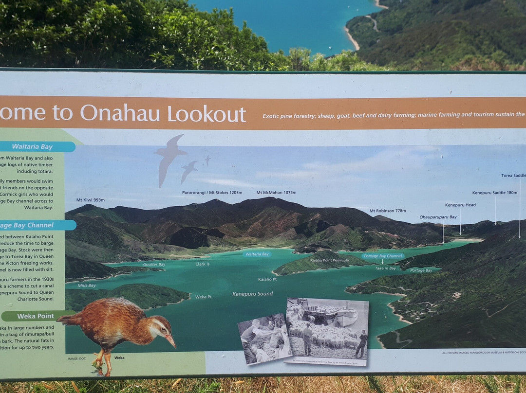 Onahau Point Lookout-Te Mahia必去景点