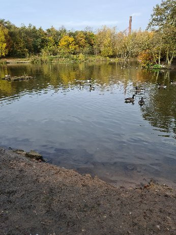 Chadwick Dam-Stalybridge必去景点