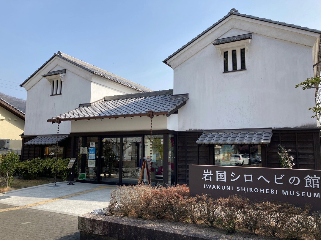 Iwakuni Shirohebi Museum景点图片