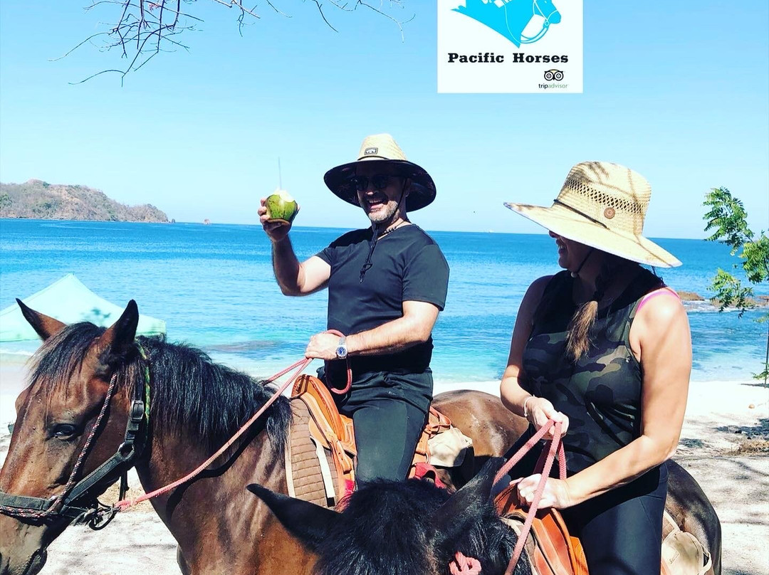 Pacific Horses景点图片