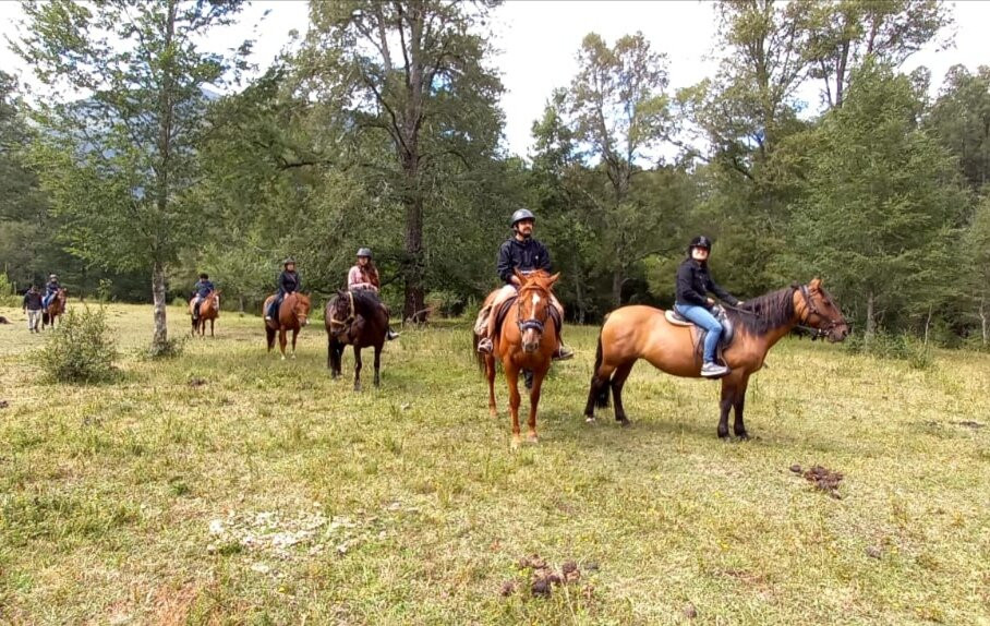 Alma Equina Pucon-普孔必去景点