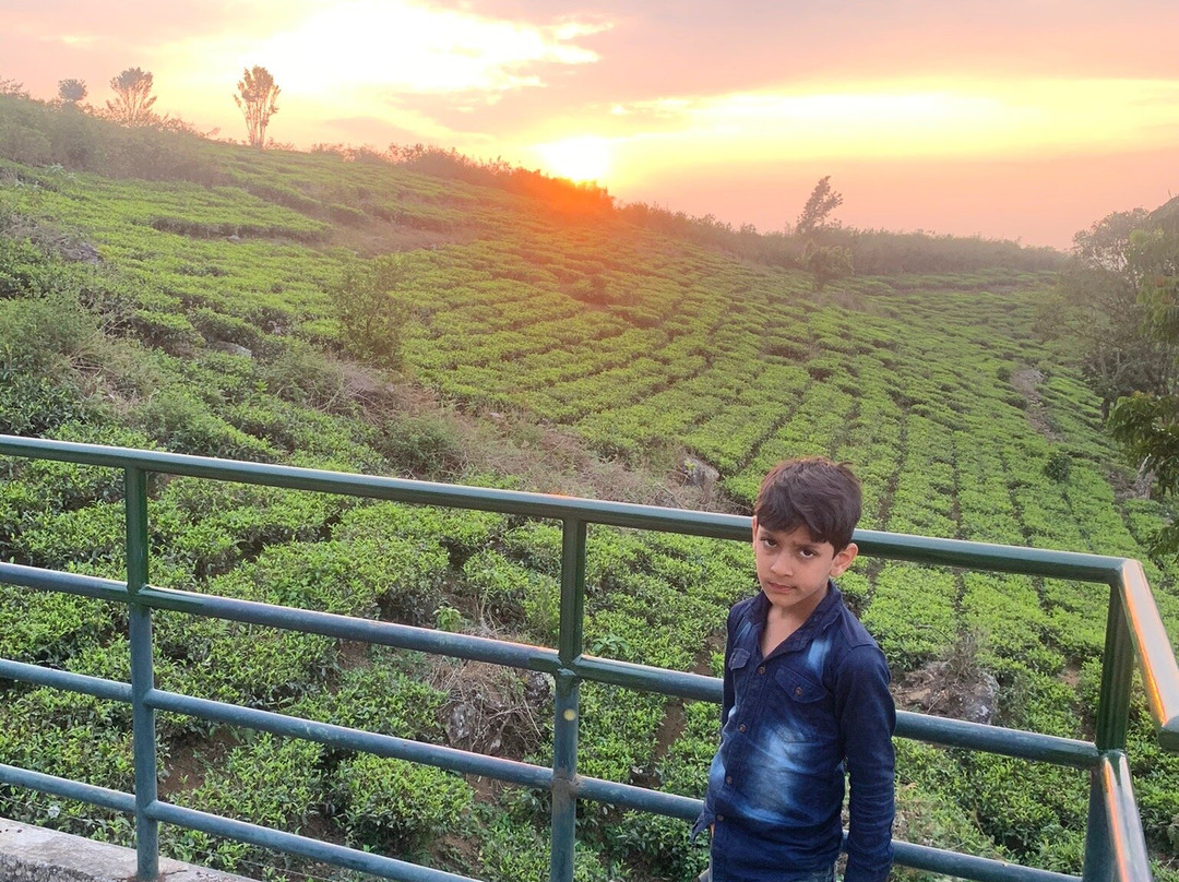 Mammoth's Cliff Jungle Resort主图