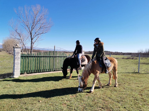 Saddle Club Zadar Horseback Riding Centre-扎达尔必去景点