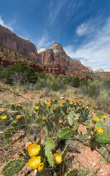 宰恩国家公园-锡安国家公园必去景点
