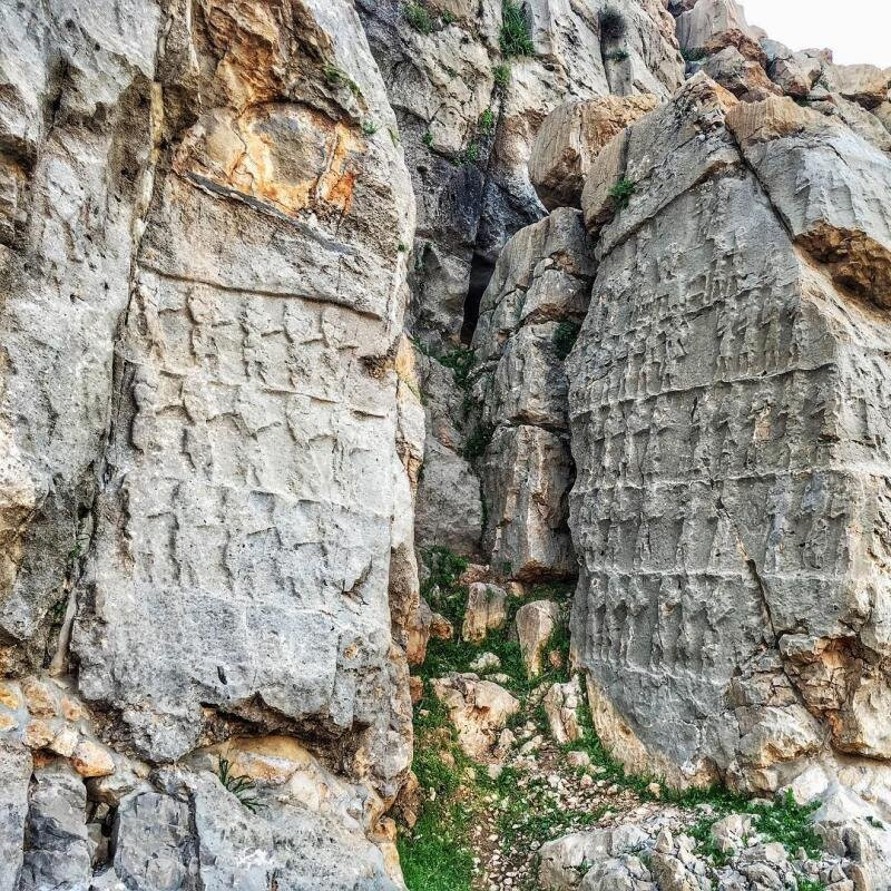 Kool Farah景点图片