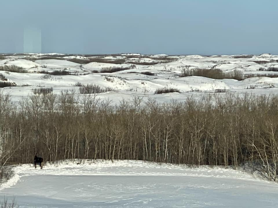 Dakota Dunes Resort主图