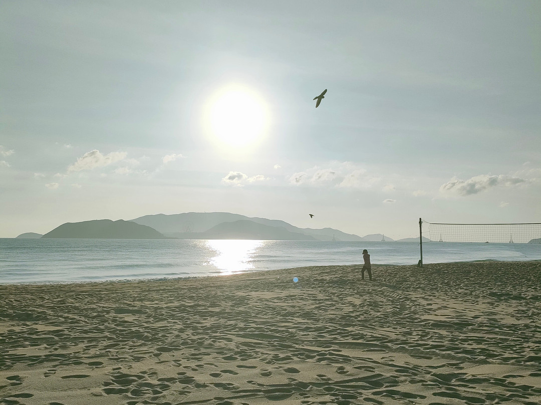 小屋冲浪学校-芽庄必去景点