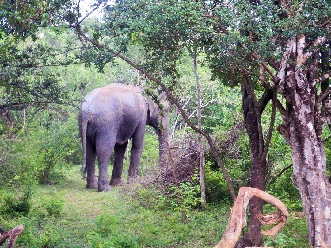 花园湖度假酒店主图