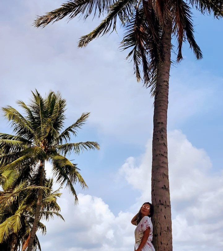 Pousada Doze cabanas主图