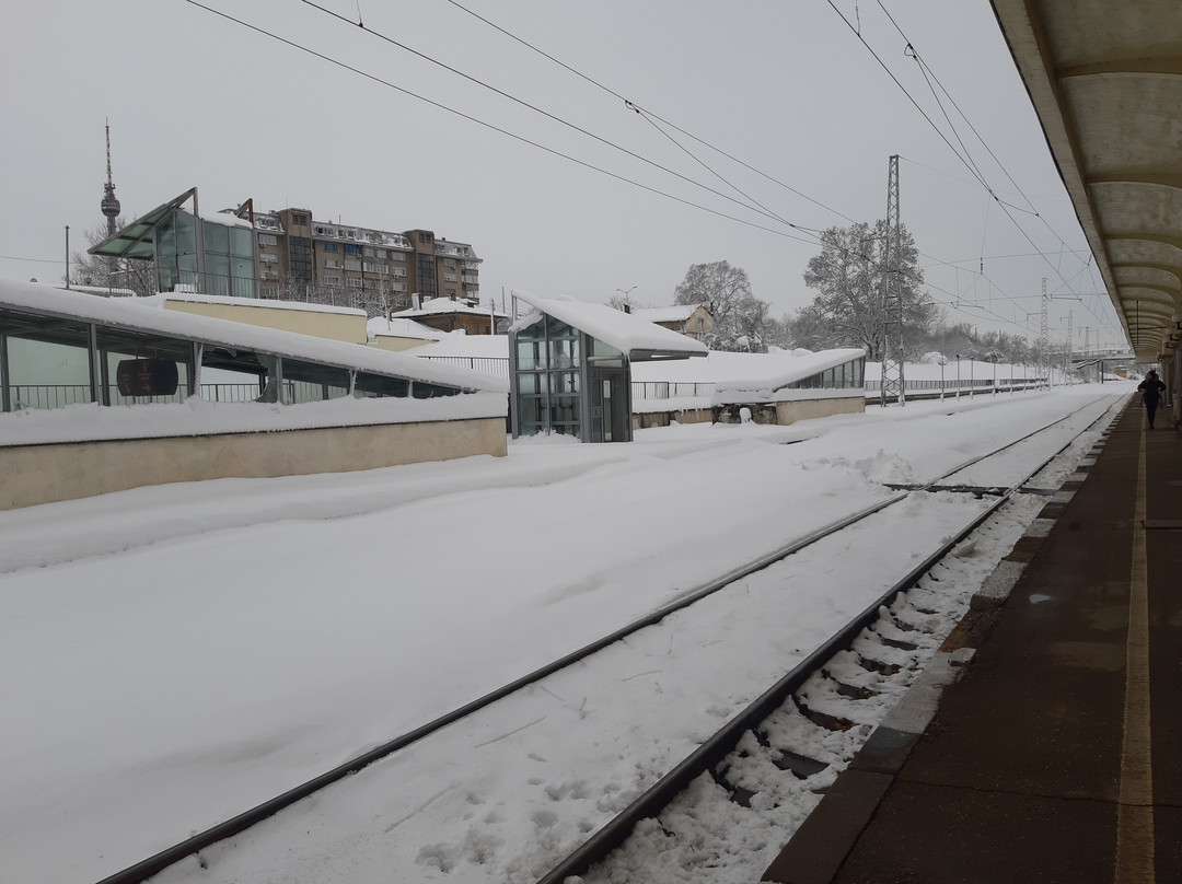 Ruse Central railway station景点图片