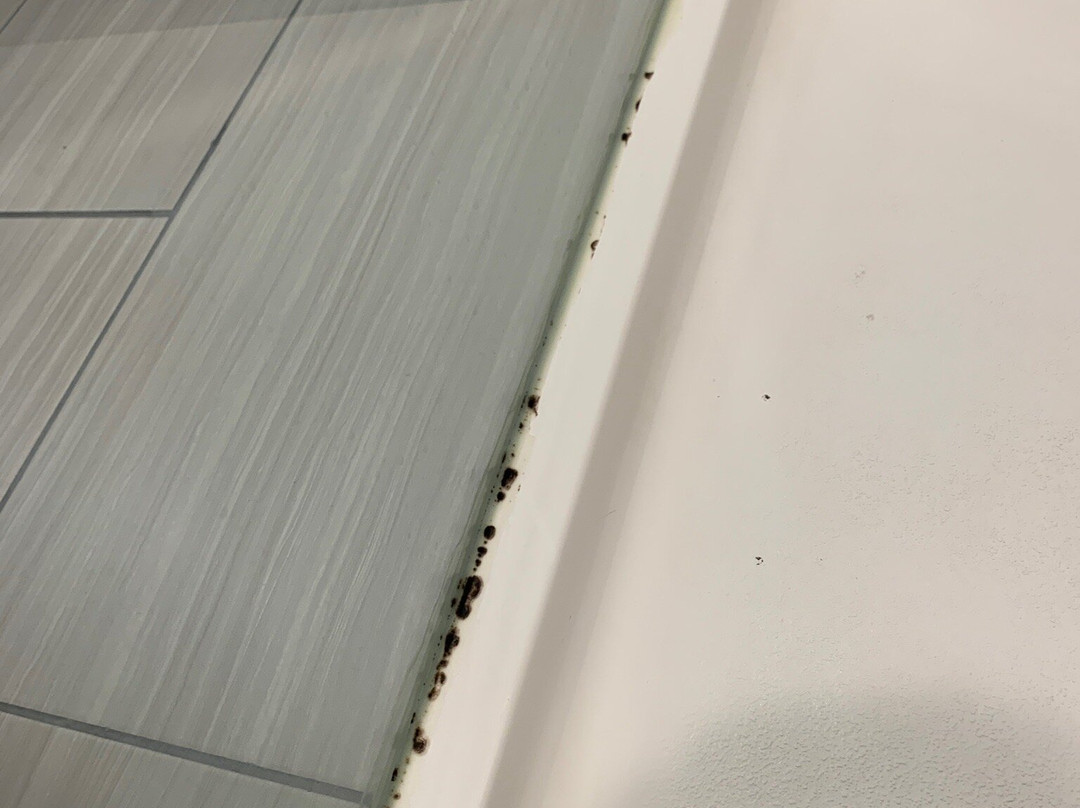 Residence Inn New Orleans Elmwood主图