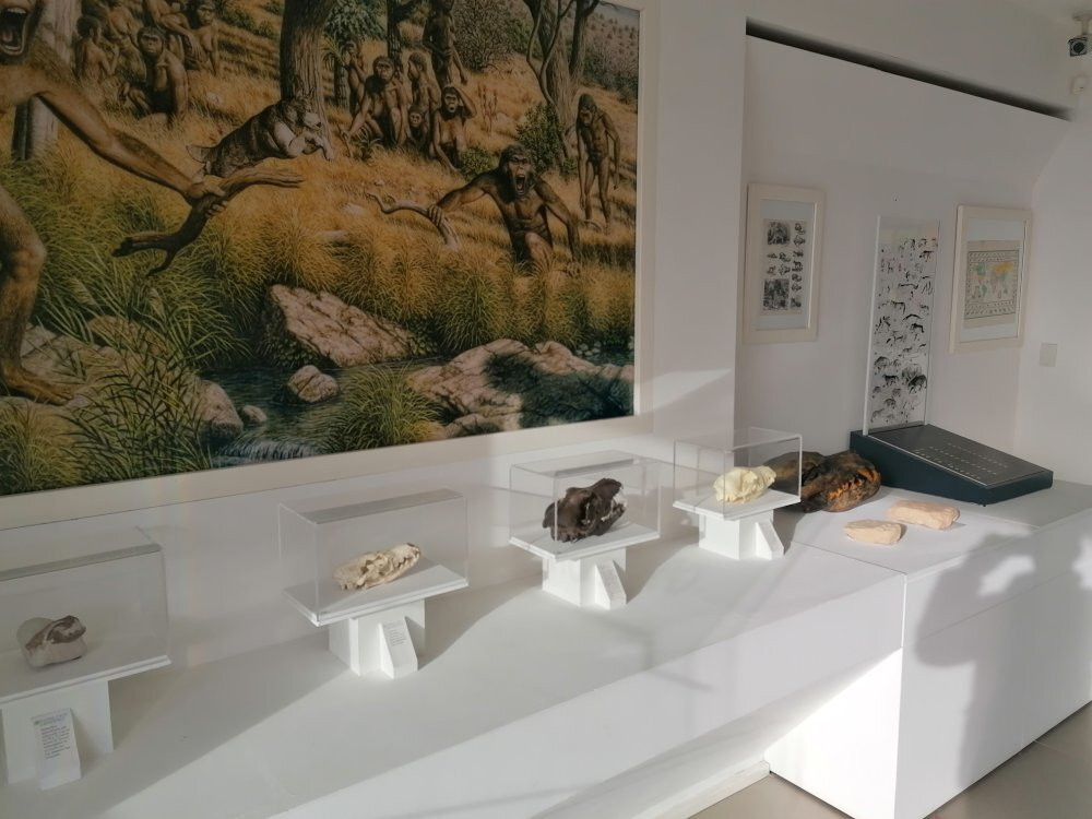 Foof - Parco e museo del cane景点图片