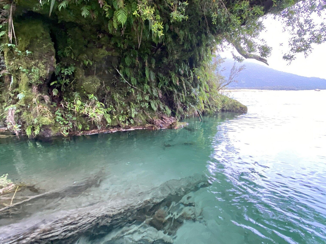 Haast River Safari景点图片