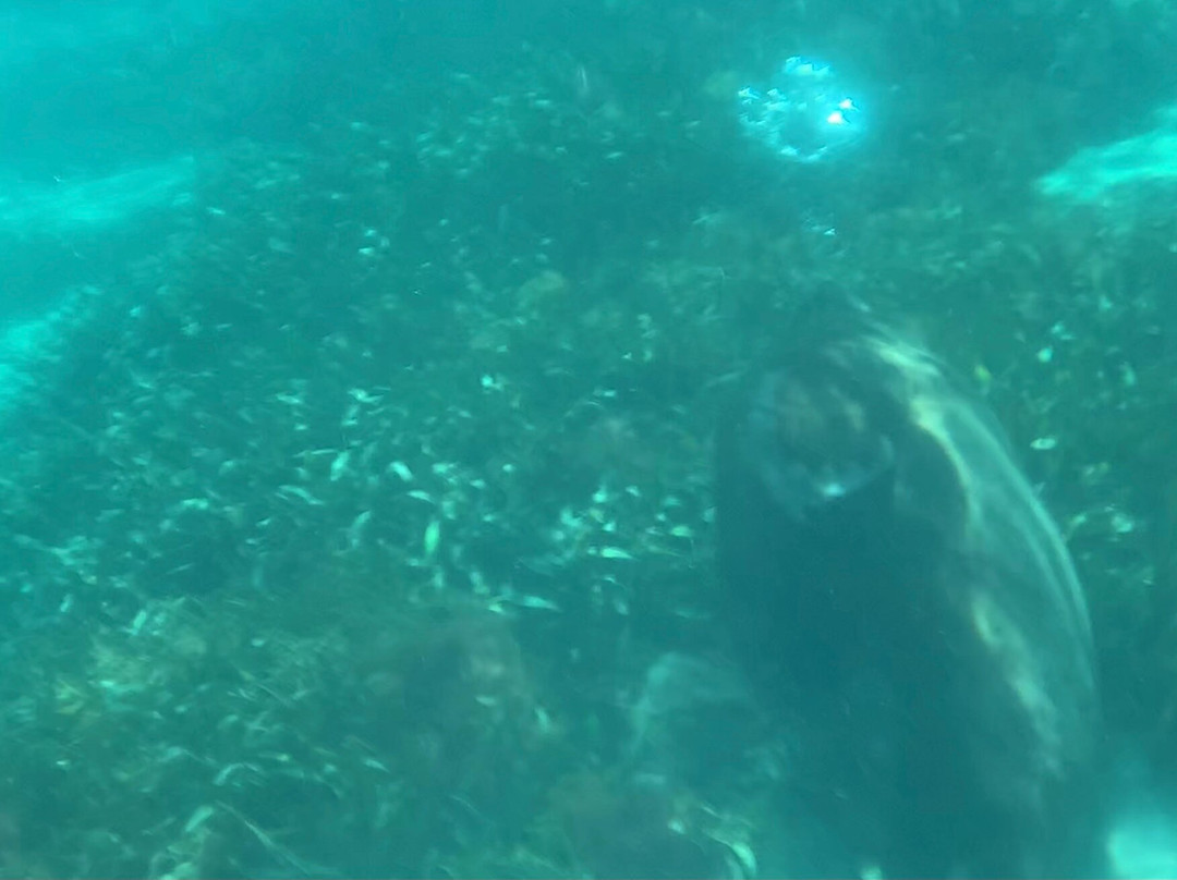 All Sea Charters-巴瑟尔顿必去景点