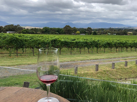 Chillout Travel Winery Tours-墨尔本必去景点