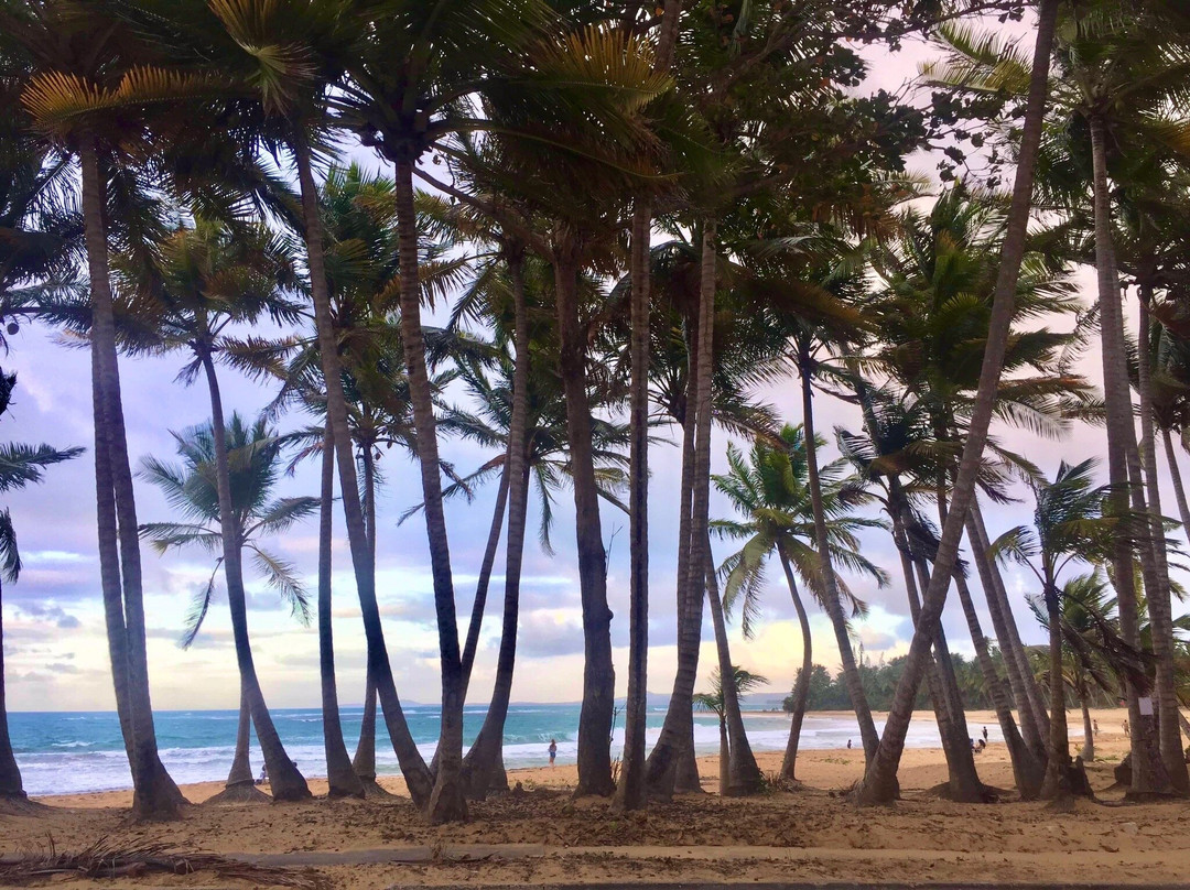 Playa Azul-Luquillo必去景点