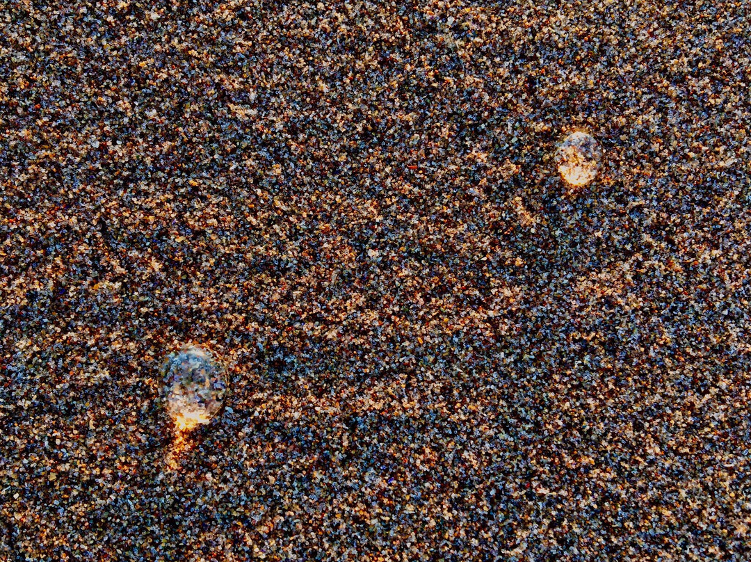 St Cyrus Beach-St Cyrus必去景点